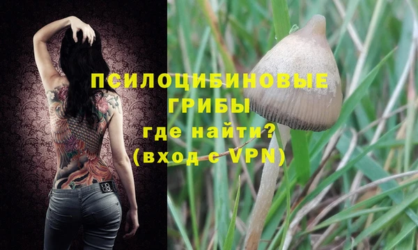 таблы Михайловск