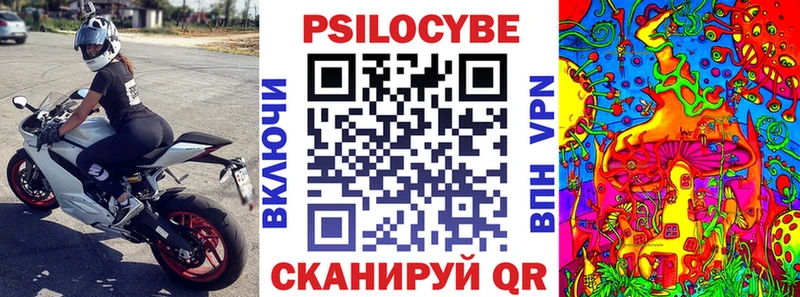 Псилоцибиновые грибы MAGIC MUSHROOMS Новое Девяткино